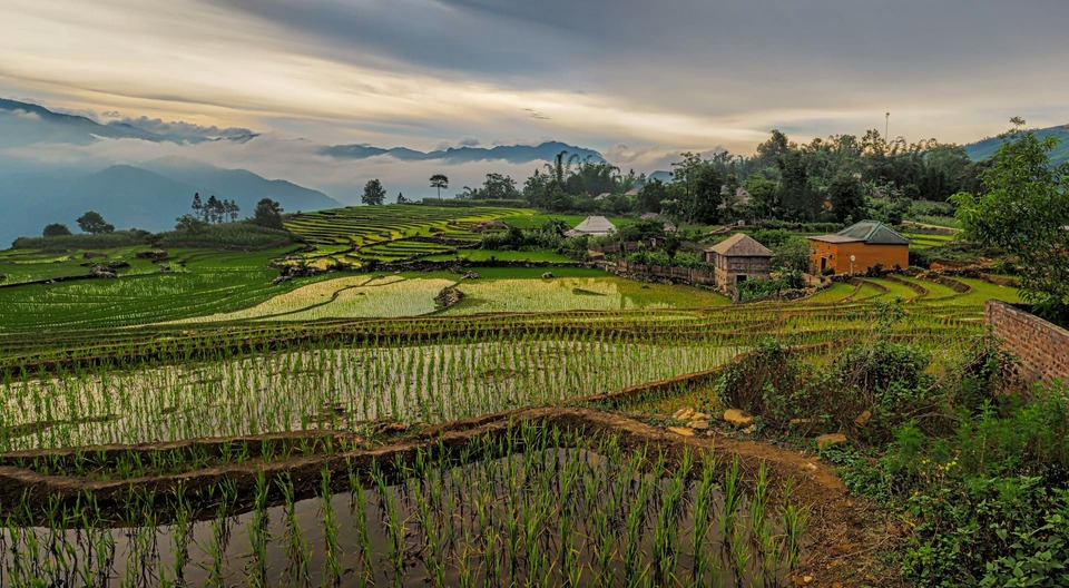 vietnam